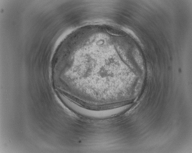 X0000071761424200607282136