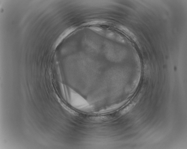 X0000071761425200607282136