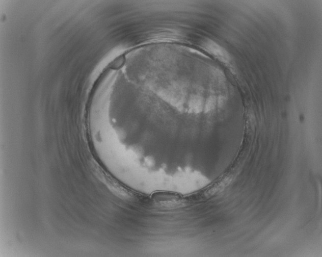 X0000071761427200607282136