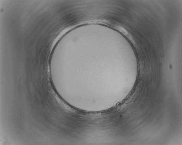 X0000071761428200607282137