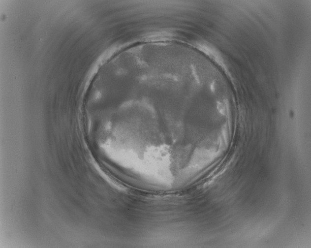 X0000071761429200607282137