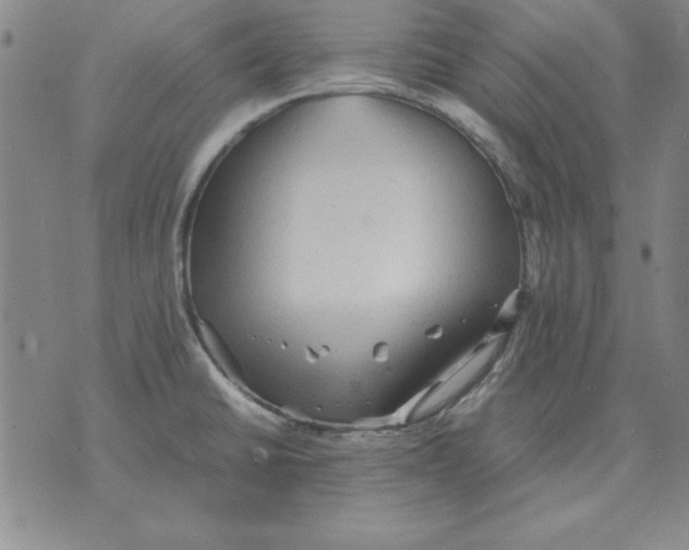 X0000071761430200607282137