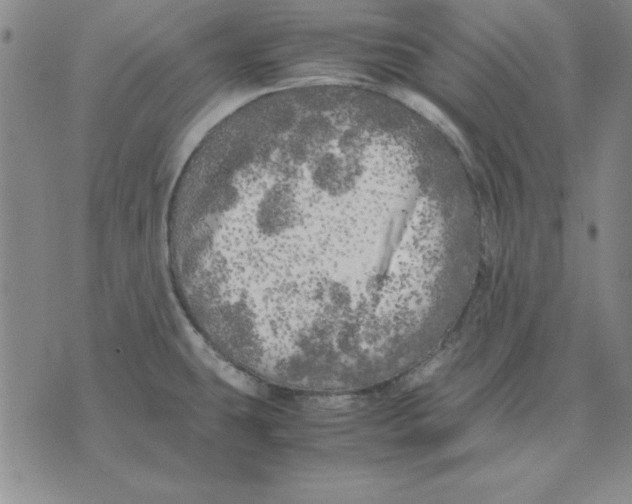 X0000071761431200607282137