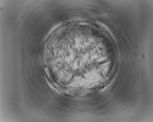 X0000071761433200607282137