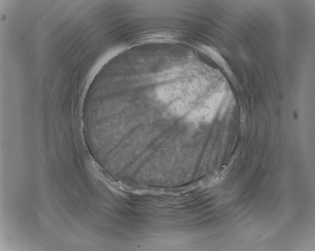 X0000071761435200607282137