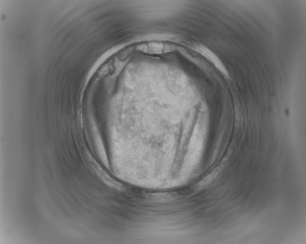 X0000071761436200607282137