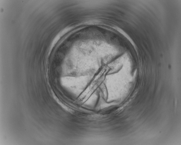 X0000071761437200607282137