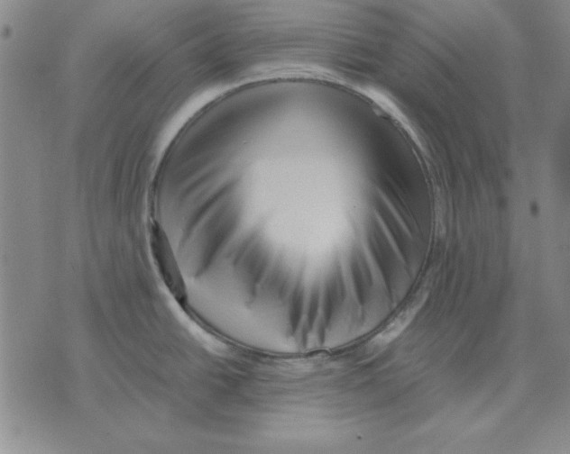 X0000071761438200607282137