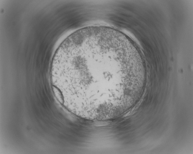 X0000071761440200607282137