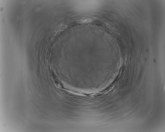 X0000071761441200607282136