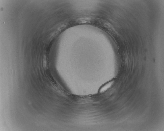 X0000071761442200607282136