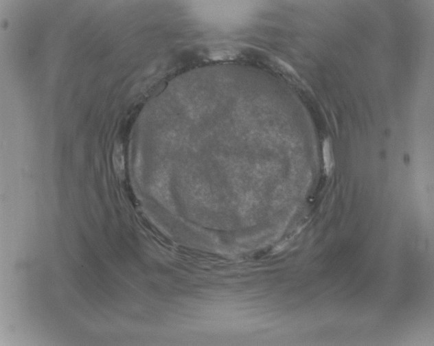 X0000071761443200607282136