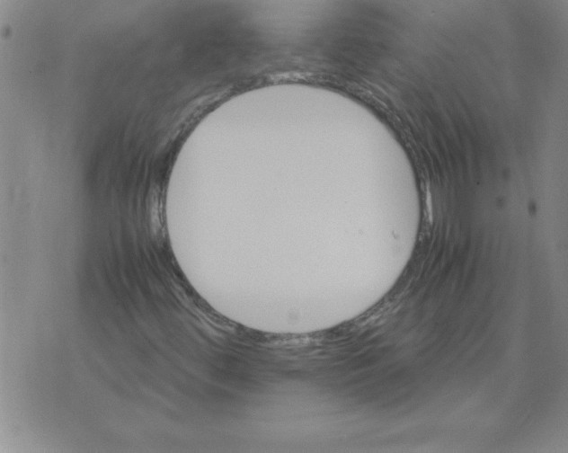 X0000071761444200607282136