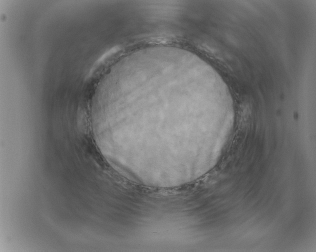 X0000071761446200607282136