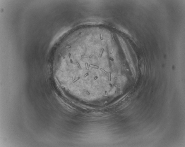 X0000071761448200607282136