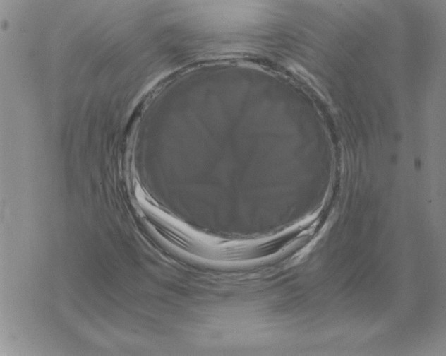 X0000071761449200607282136