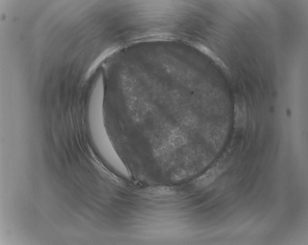 X0000071761450200607282136