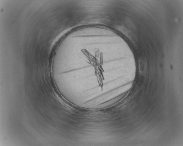 X0000071761452200607282136