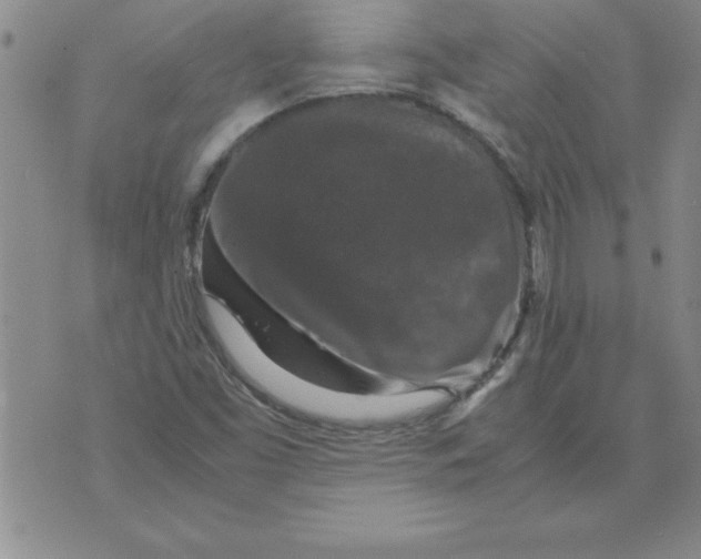 X0000071761453200607282136