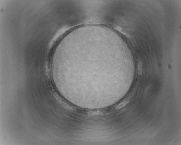 X0000071761454200607282136