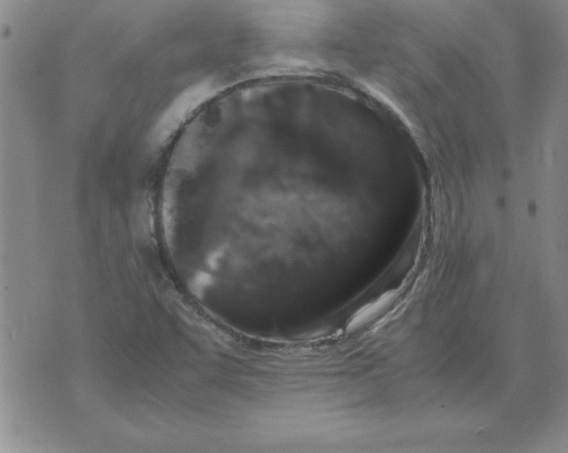 X0000071761455200607282136