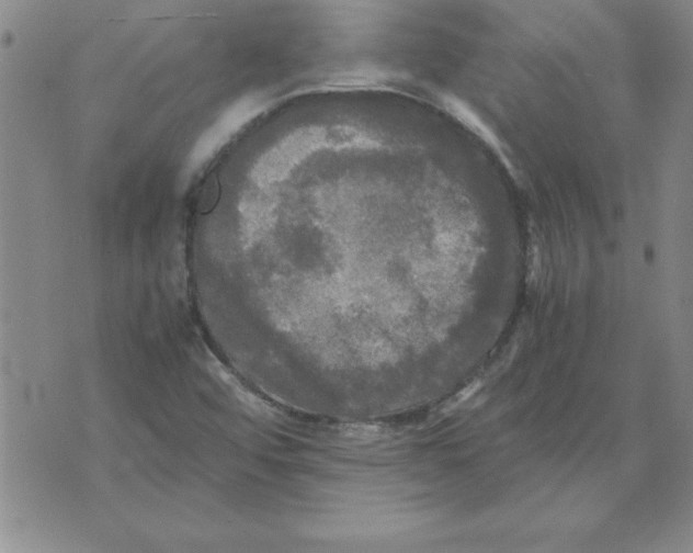 X0000071761456200607282136