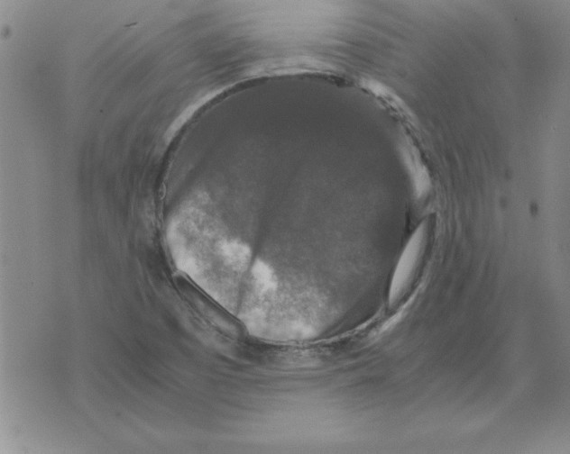 X0000071761457200607282136