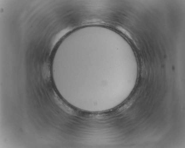 X0000071761458200607282136