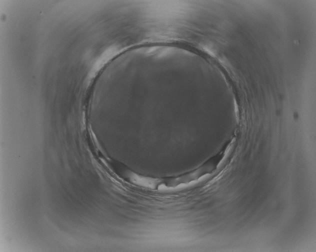 X0000071761459200607282136