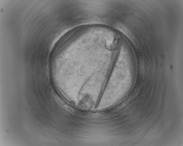 X0000071761460200607282136