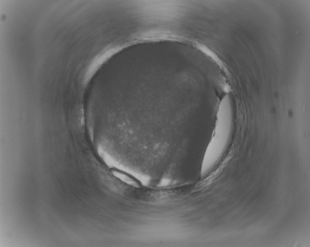 X0000071761461200607282136