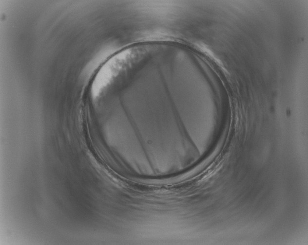 X0000071761463200607282136