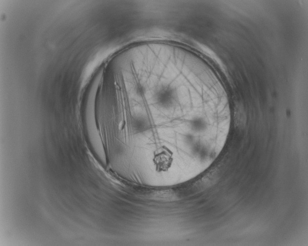 X0000071761464200607282136