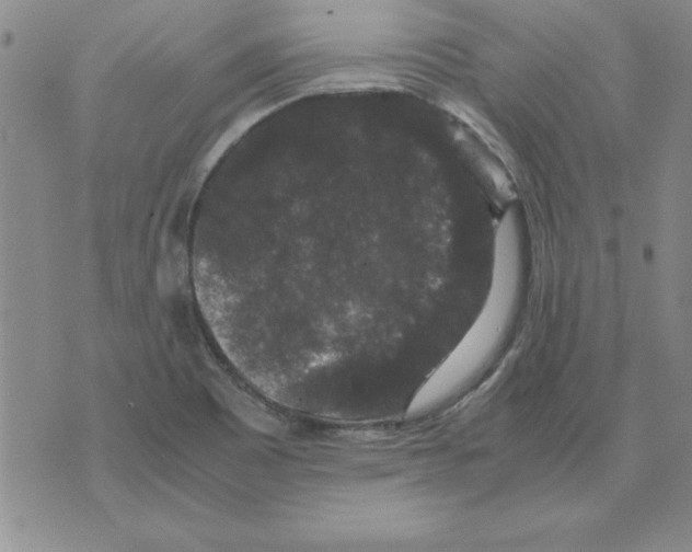 X0000071761465200607282136