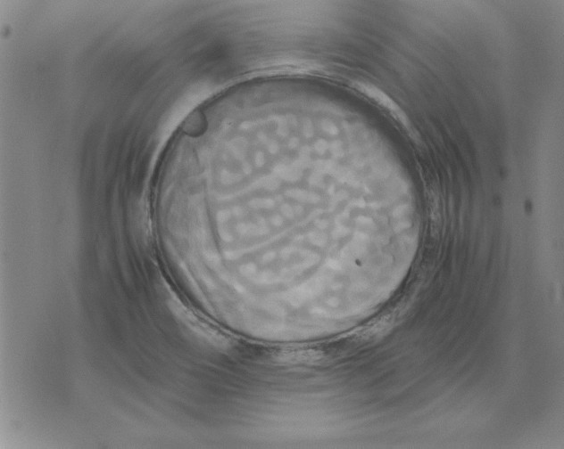 X0000071761466200607282136