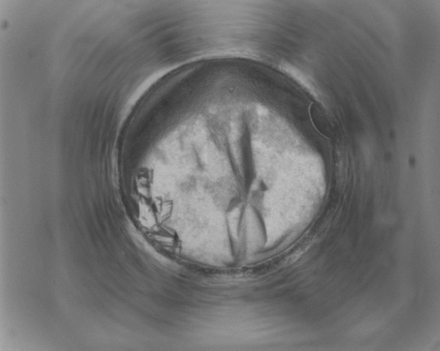 X0000071761468200607282135