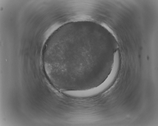 X0000071761469200607282135