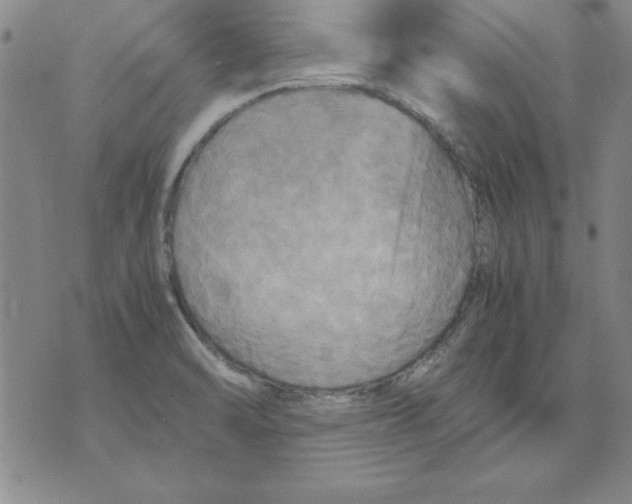 X0000071761470200607282135