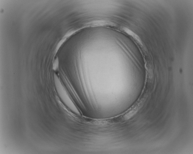 X0000071761473200607282135