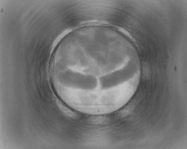 X0000071761474200607282135