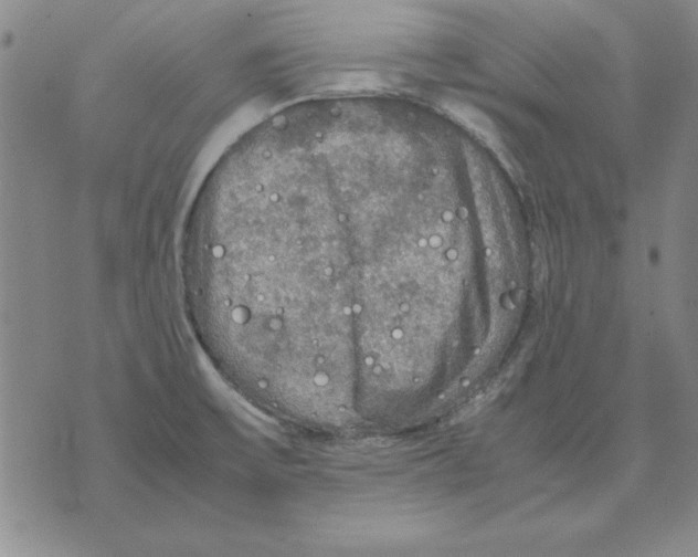 X0000071761475200607282135