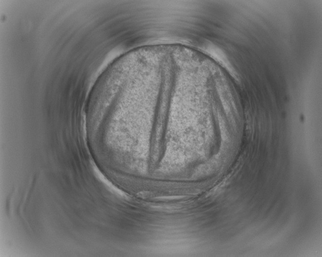 X0000071761476200607282135