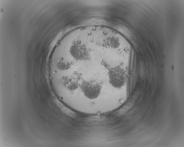 X0000071761478200607282135