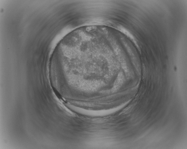 X0000071761480200607282135