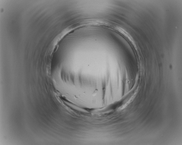 X0000071761481200607282135