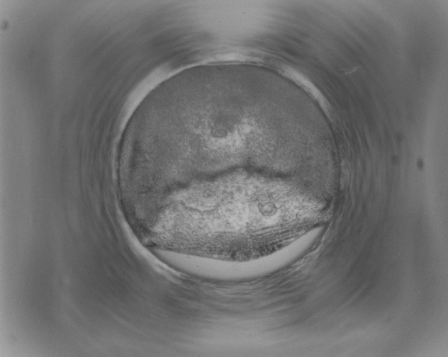 X0000071761483200607282135