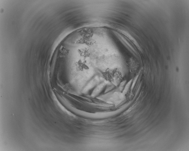 X0000071761484200607282135