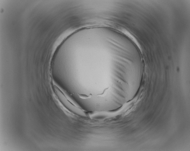 X0000071761485200607282135