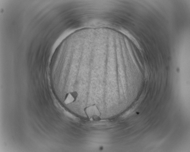 X0000071761486200607282135