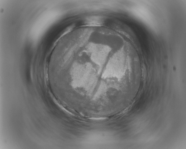 X0000071761487200607282135